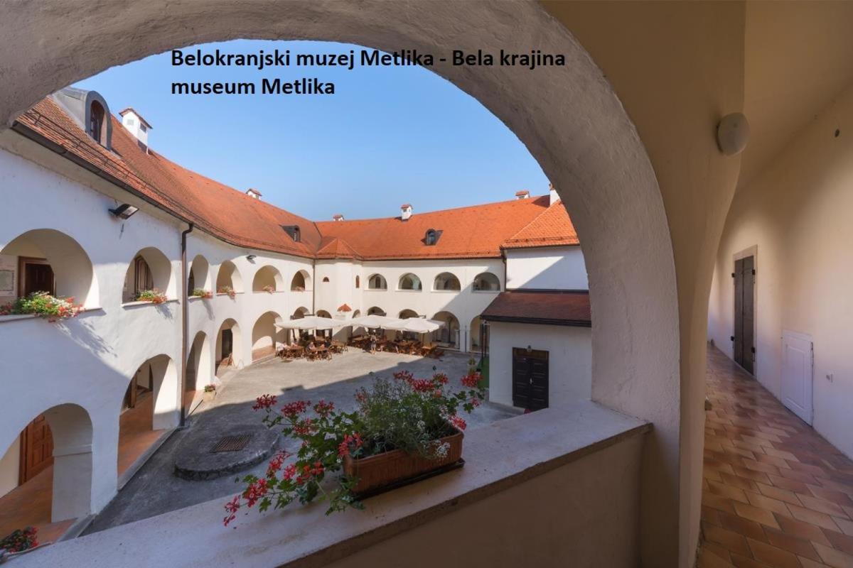 Apartment Ma&Ja With Hot Tub Metlika Luaran gambar